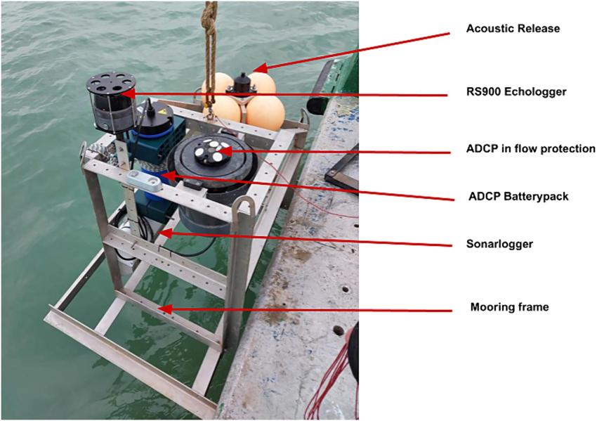 Echologger RS900